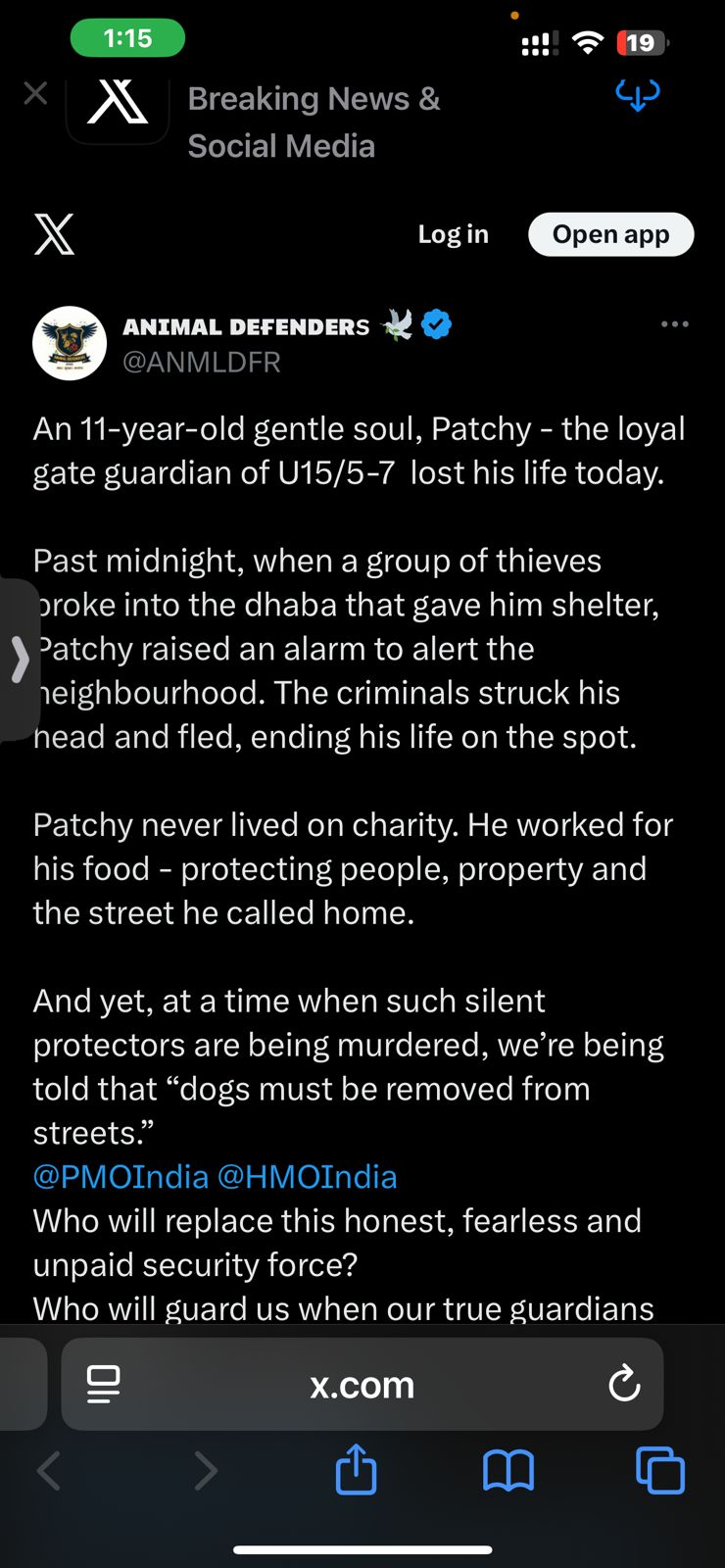 “A Plea for Compassion: Embracing Our Responsibility Towards Dogs”