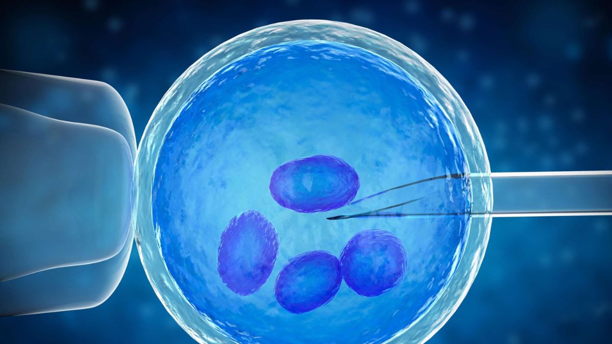 Early Male Testing Key to IVF Success, Says Case from Indira IVF Pune