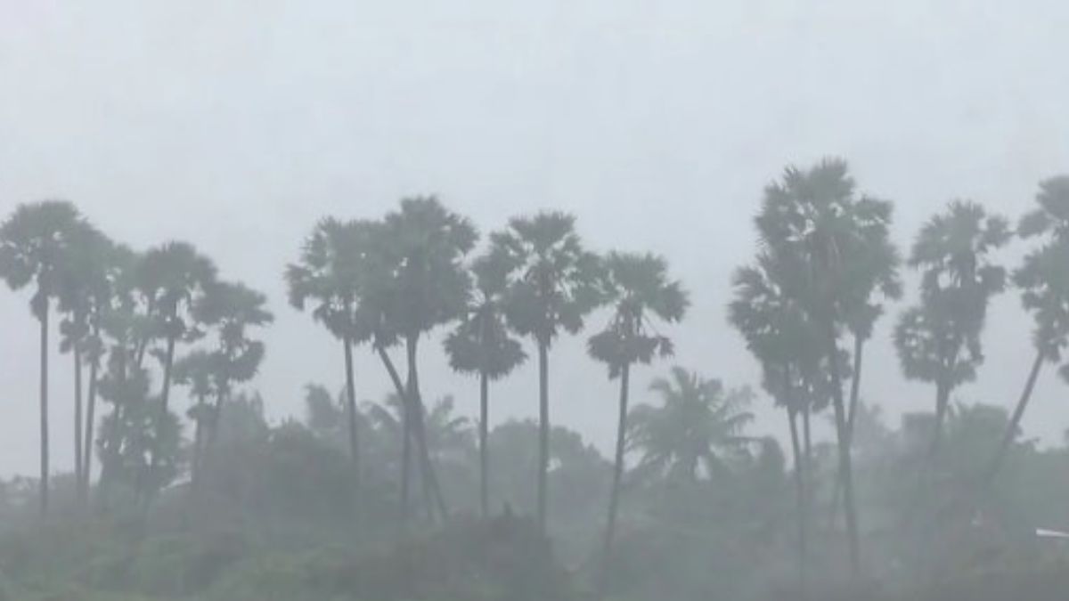 Red alert issued in Tamil Nadu, Andhra Pradesh and Puducherry as Cyclone Ditwah approaches