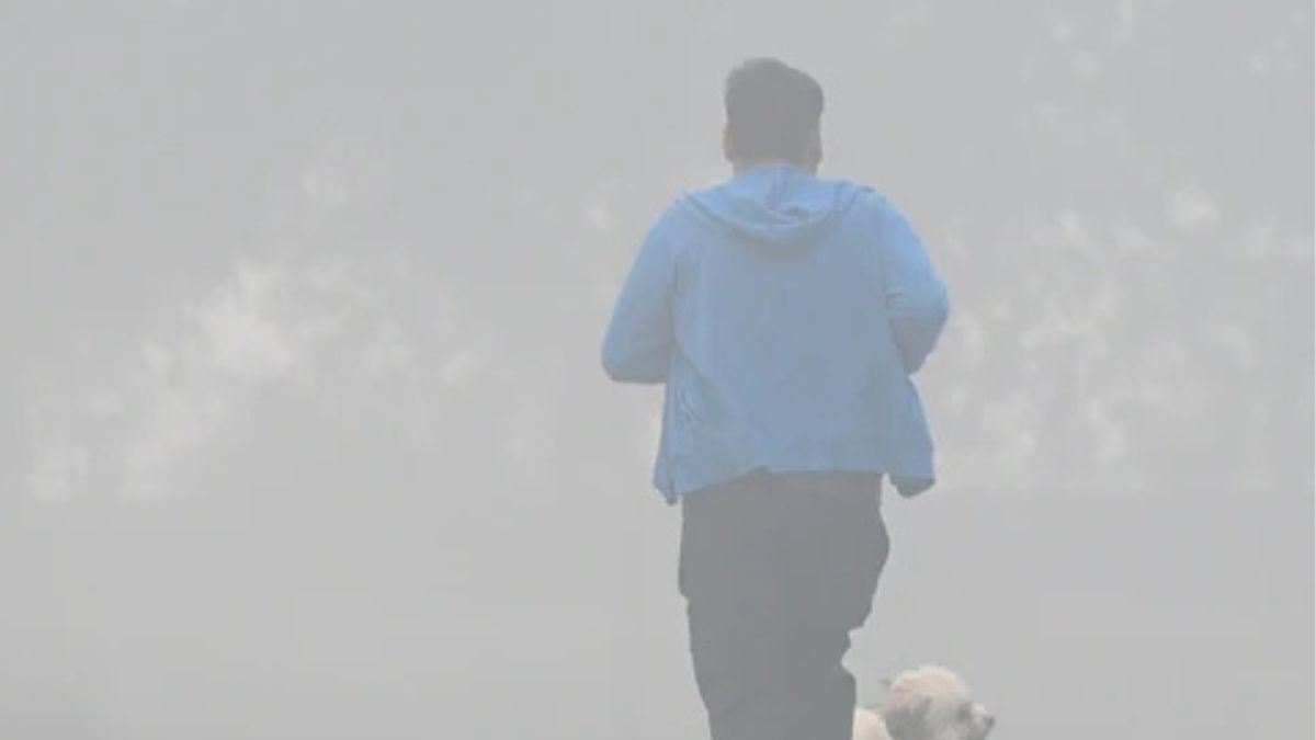 Delhi AQI slips into severe category as cold weather and dense fog disrupt daily life; Netizens vent frustration