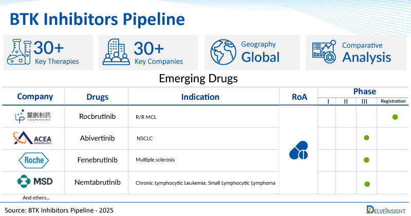 BTK Inhibitors Clinical Trial Pipeline Accelerates as 30+ Pharma Companies Rigorously Develop Drugs for Market Entry | DelveInsight