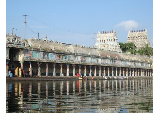 Nadi Astrology in the Modern Era: How NadiVedas Is Bringing Structure, Clarity, and Continuity to an Ancient Knowledge System