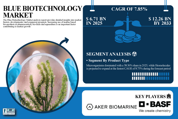 Blue Biotechnology Market Size to Hit USD 12.26 Billion by 2033, Driven by Rising Adoption of Marine-Derived Bio-Products – SNS Insider