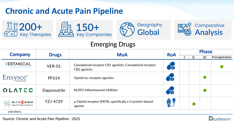 Chronic and Acute Pain Clinical Trial Pipeline Analysis: 150+ Key Companies Shaping the Future of Chronic and Acute Pain Therapeutics | DelveInsight